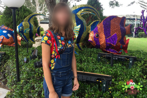 littlefroganddaddy:   California summer vacation, part 15When we were in San Diego, I saw a lot of fishies and touched a real ray! Look at these  stuffies, I wanted them all but Daddy said no because my pants got a little  bit wet. That’s why we had