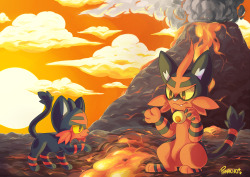 ponacho: Warming by the fire <3 Pokemon