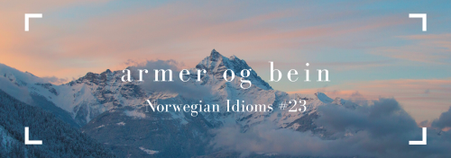 an-american-in-norway: armer og bein - arms and legsDet ble bare armer og bein.It’s just arms and le