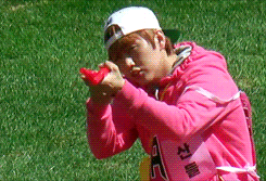 orange-sandeul:  Cadet Sandeullie: Saving the World from evil squirrel and sandwich snatchers 