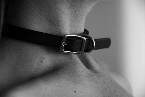 fur-n-steel: 🔱