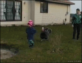 4gifs:  Say Happy Thanksgiving. . .to the ground 