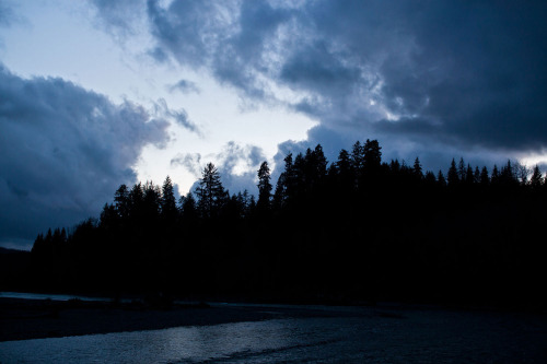 untrustyou:  Jesse Burke