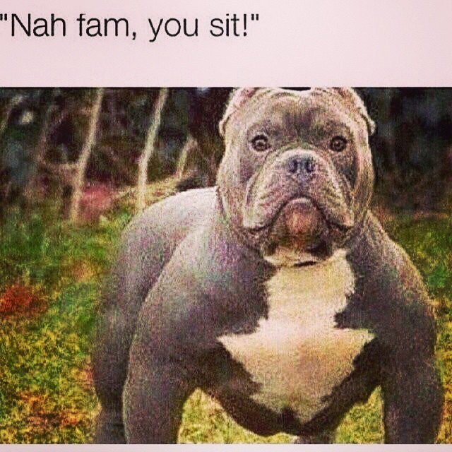 🤘🏾