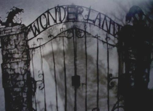 obeytheprophecy:  ▲ obey the prophecy ▲ the door to wonderland