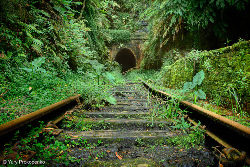 whitedogblog:Abandoned railway tunnel in Australia