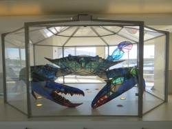 sixpenceee:A giant stained glass crab found