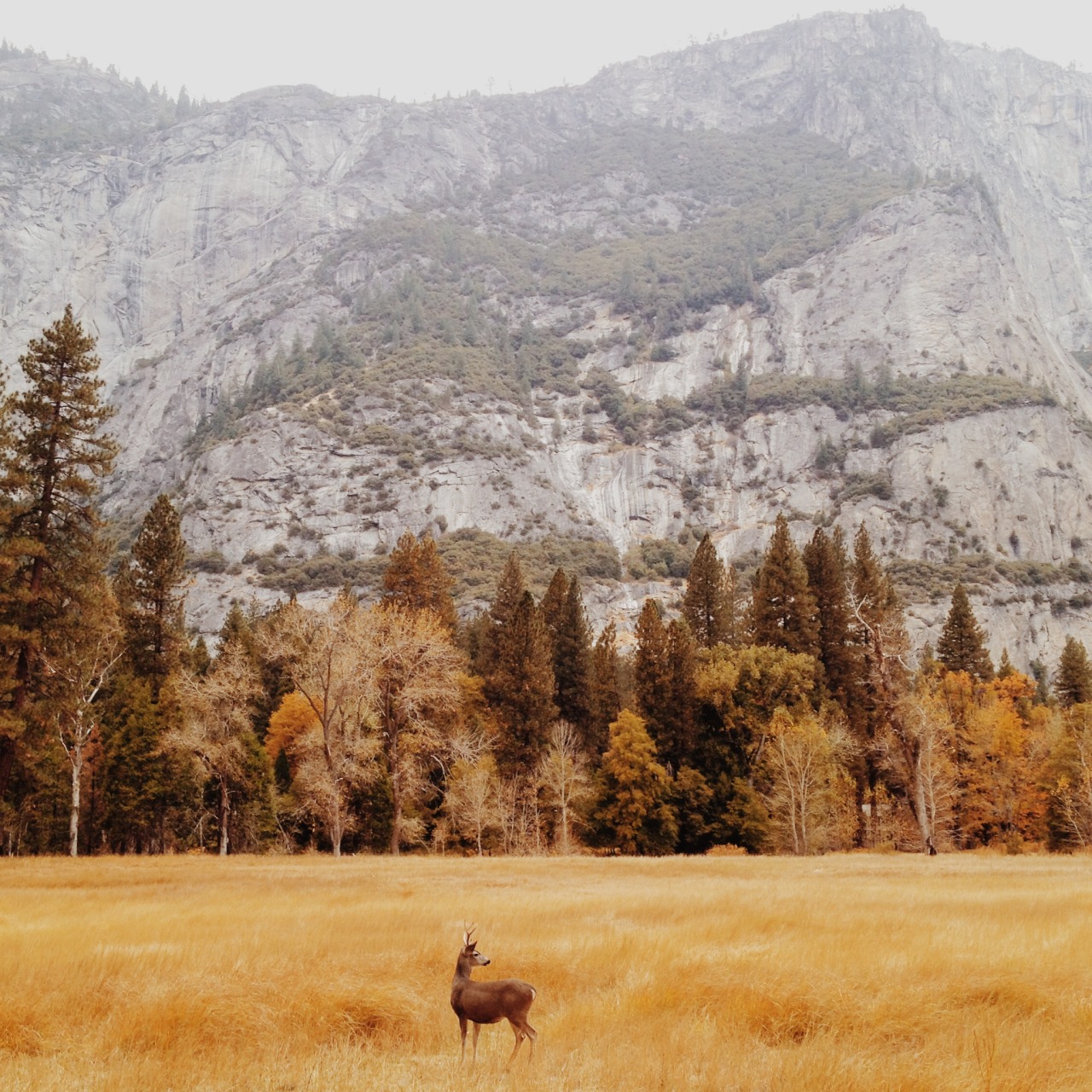 danielodowd:  kylieturley.vsco.co 