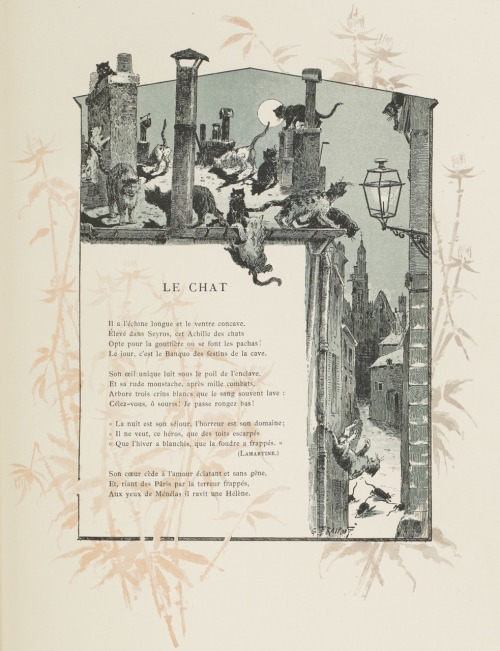 Les bêtes à Paris, 36 sonnets, par Ernst d’Ervilly.1885.LE CHAT.Art by G.Fraipont.Illustrateur.