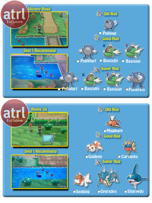 theuntoldlifeofbryan:  Here is a Shiny Guide I made for my fellow members at ATRL and well I decided to let the Tumblr people know about it. Pretty much a sum up of what I do. I mean, I did catch 15+ shiny pokemon by doing this. Any questions, please