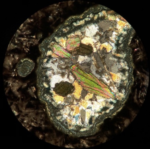 This thin section shows an amygdule in a sample of amygdaloid basalt. The rock formed due to an erup