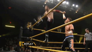 olewrestling:  SAMI ZAYN’S FINISHER IS PRETTY COOL YOU GUYS  I don&rsquo;t