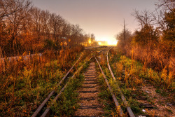 destroyed-and-abandoned:  Abandoned Tracks