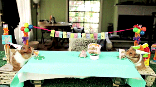 tastefullyoffensive:  Video: Tiny Birthday Party for a Tiny Hedgehog