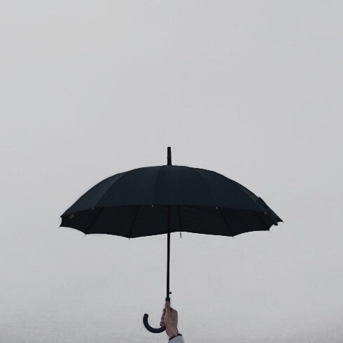 akumatised: moodboard: adrien agreste