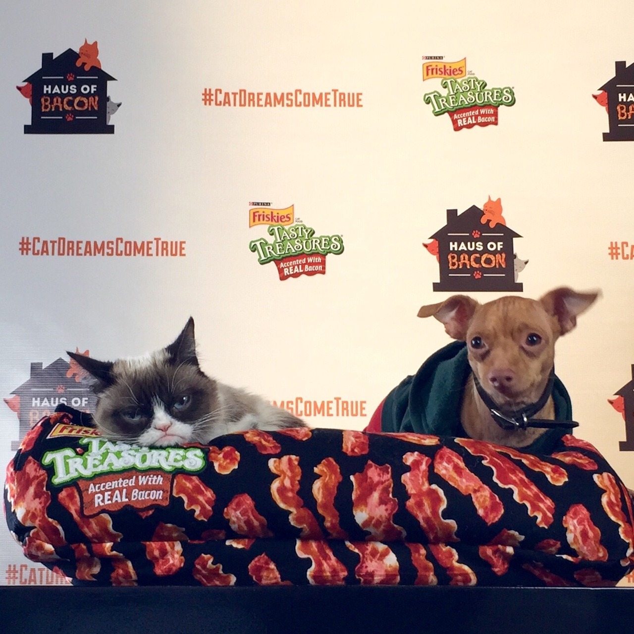 #CatDreamsComeTrue friskies Haus of Bacon with @TunaMeltsMyHeart #SXSW #SXSWi #SXSW2015 #SXSW15 - 200 Congress Ave