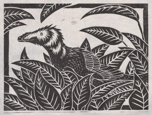 Exams are over and I am free! In celebration of this here are some lino prints I made as part of a s