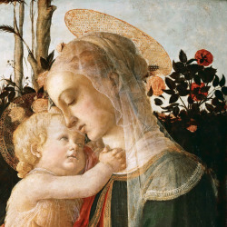 v-ersacrum:  Sandro Botticelli’s Madonnas