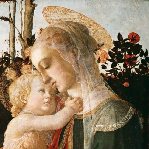 v-ersacrum:  Sandro Botticelli’s Madonnas (1470-1490)