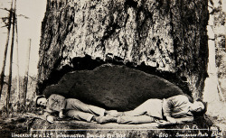 RPPC of two Washington lumberjacks.