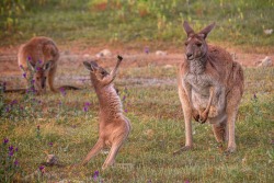 High five, baby, it’s Friday!