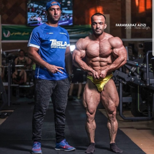 dalthorn:  Faramarz Azizi