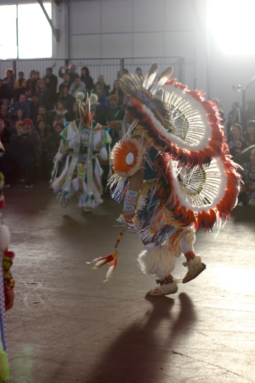 vinceschilling:gayndn:bay area american indian two spirit powwow 2017AWESOME… Shout out to my #ndn #