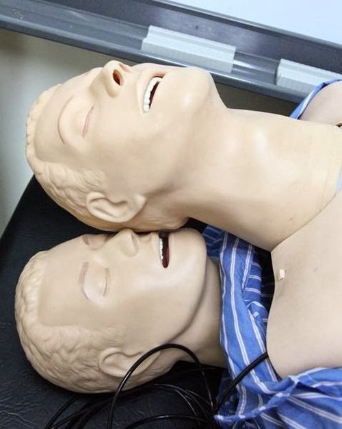 bullit-1987: bullit-1987:When two dummies love each other …  Tumblr staff after screwing each other