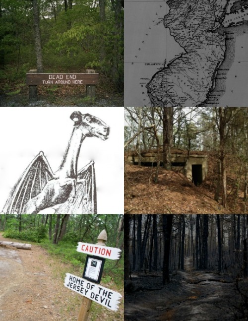 Cryptid Aesthetics[3/?]: The Jersey Devil