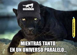 patatasaladas:  Pantera negra con look siestero.