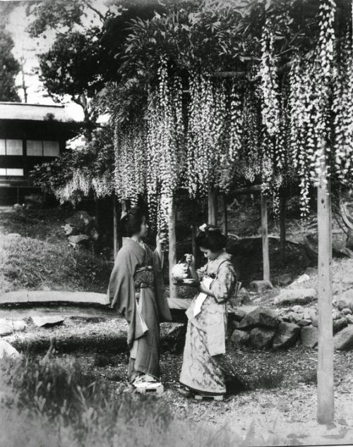 sumi-no-neko:Japan, 1880s