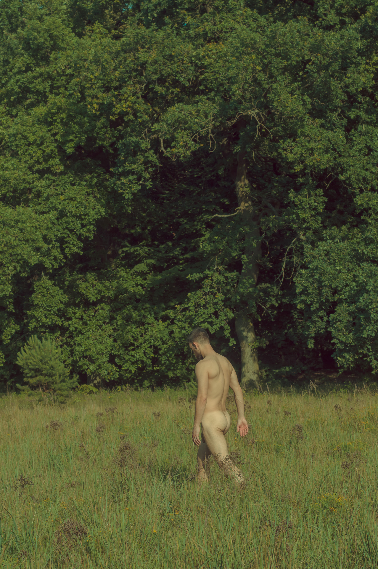 nakedblokes:  naked blokes. follow. ask. submit. archive.