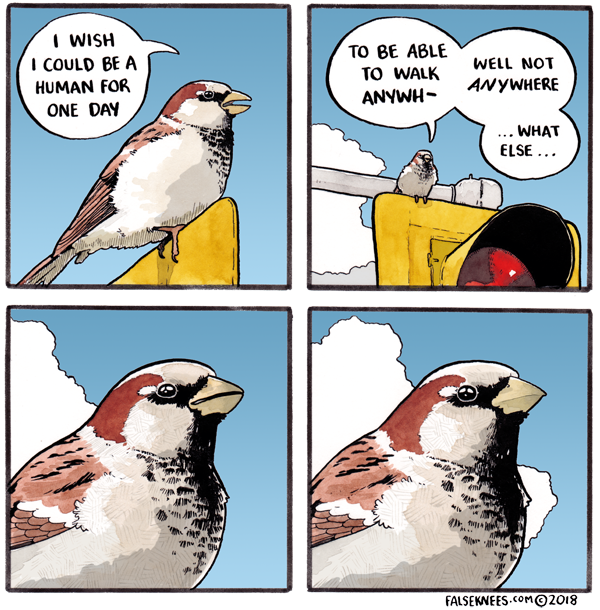 falseknees:I wish