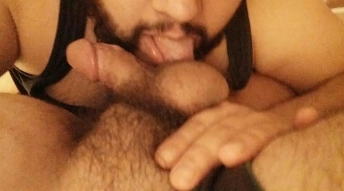 alexunderbear: Me licking @techbear74 ’s balls