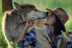 nubbsgalore:  jim and jamie dutcher, determined to show “the hidden life of wolves”, lived for six years with a pack of wolves in the idaho wilderness of yellowstone. a constant but unobtrusive presence, the dutchers earned the unshakable trust of