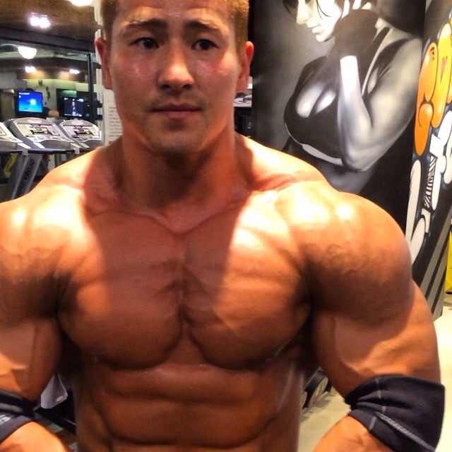 muscle lover