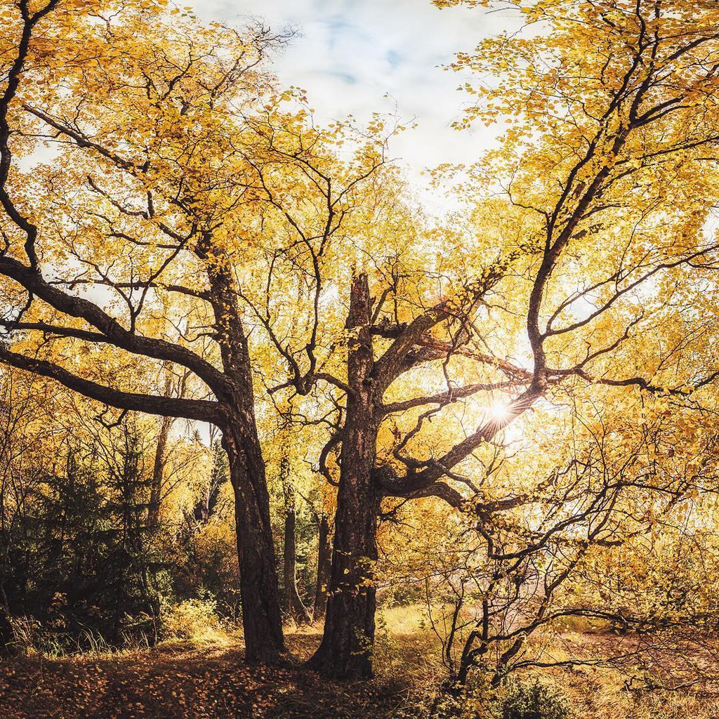 theencompassingworld:  wanderlog:  Pori, Finland  The World Around Us