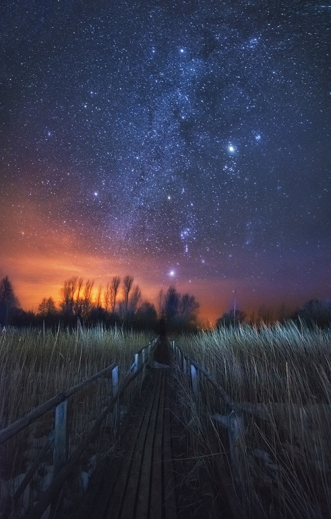 thisisfuckingaddictive:  The Way to the Stars 