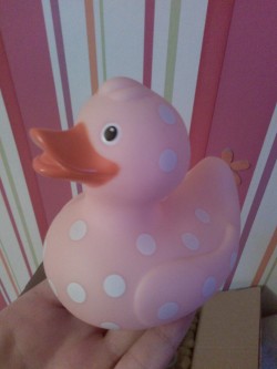 pink–cheeks:  I bought a new duck!!!