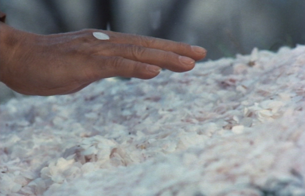 aozoramusume:Under the Blossoming Cherry Trees (Masahiro Shinoda, 1975)