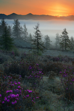 expressions-of-nature: Breaking Dawn : Vladimir Skovorodnikov 