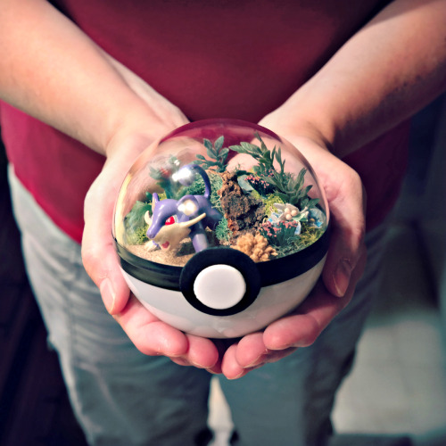 expedition-pokemon-go: laurens-crazy-tumbler: More Poke’ ball terrariums!  “Gotta b