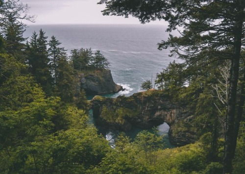 Samuel H Boardman State Park