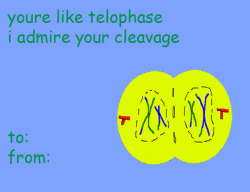 andforthemoment:  biology valentines guys