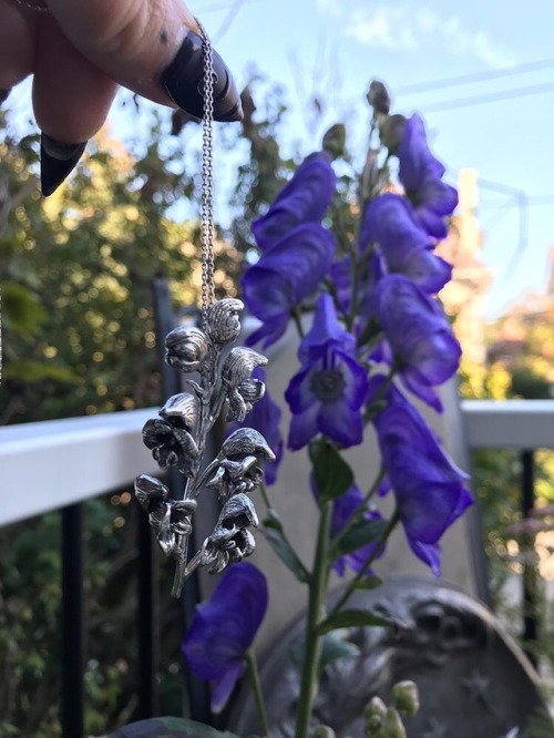 moonandserpent: Aconitum (Monkshood) pendant hand carved by Moon and Serpent, next to a real monksho