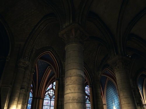 Ceilings of Notre-Dame de Parisannanasnas