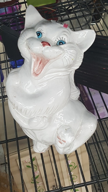 shiftythrifting:Cat shaped nightmare found in a Scottsdale AZ Goodwill.