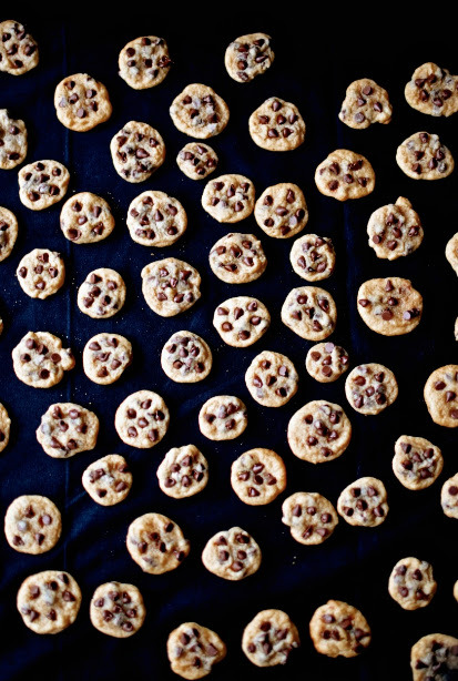 thecakebar:Mini Chocolate Chip Cookies