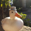 dd-duck