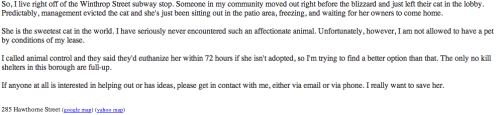 amandafiske:SIGNAL BOOST AND REBLOG THIS. NEW YORK PEOPLE PLEASE READ. HERE’S THE LINK.newyo